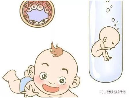 关于素竹生殖